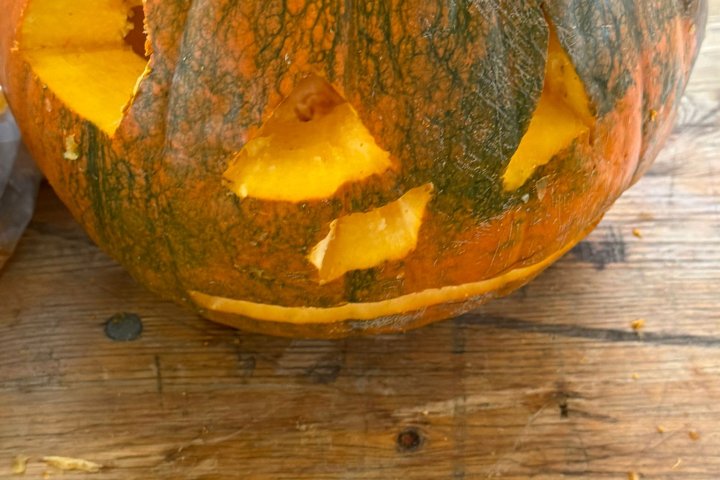 motion photo 6359595296587996151