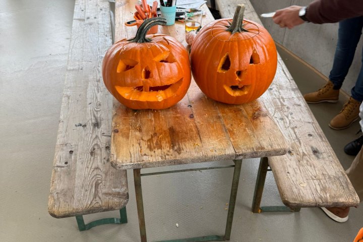 motion photo 1899716959121190942