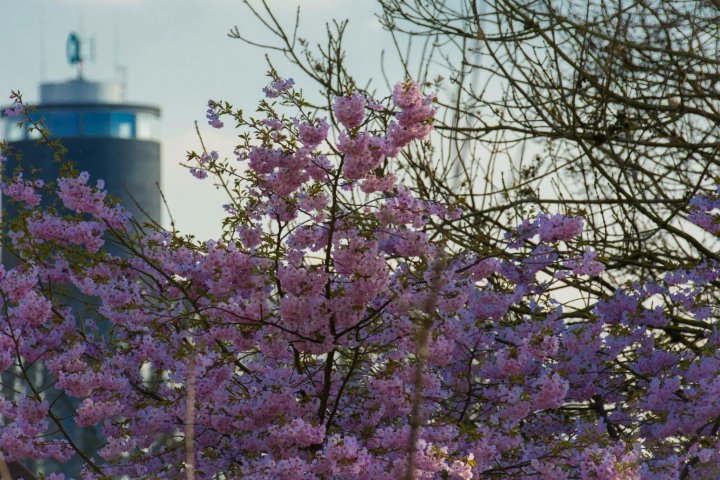 (C)FS MäerzAbrëll17 (C)FS MäerzAbrëll17