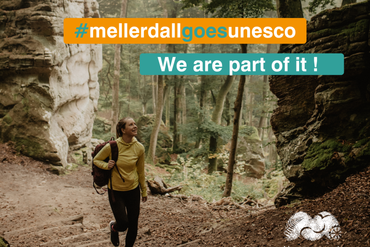 mellerdallgoesunesco feed partner mellerdallgoesunesco feed partner